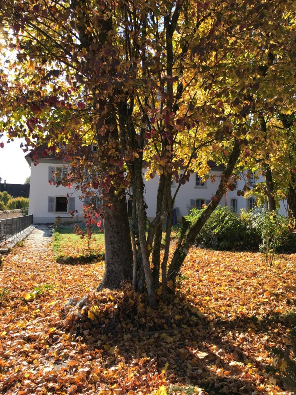 Manoir De La Cote-Dieu Поррантрюи Экстерьер фото