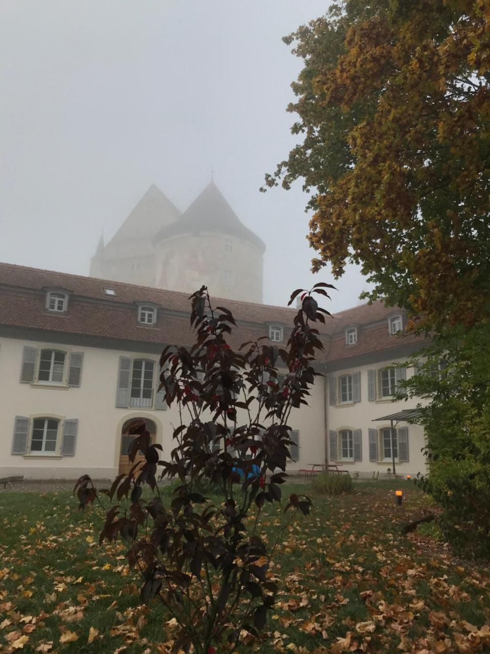 Manoir De La Cote-Dieu Поррантрюи Экстерьер фото